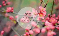 六氟化硫气体使用时的安全注意事项