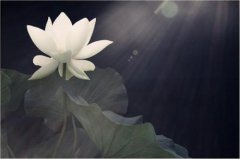 六氟化硫-半导体工业中作清洗气体
